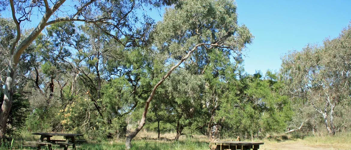 Dooliebeal Reserve (formerly Stewarts Reserve)