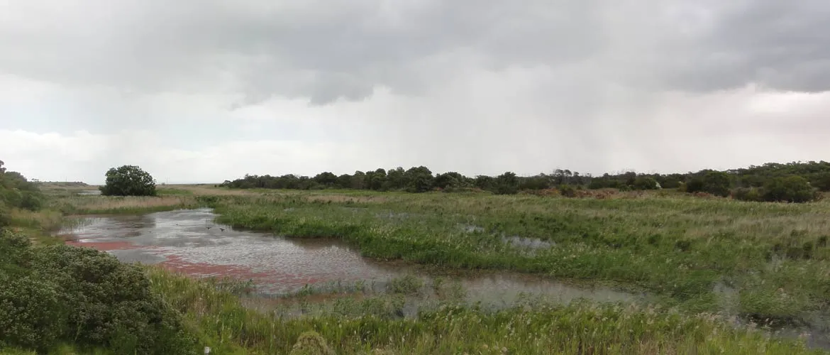 Portarlington Flora & Fauna Reserve