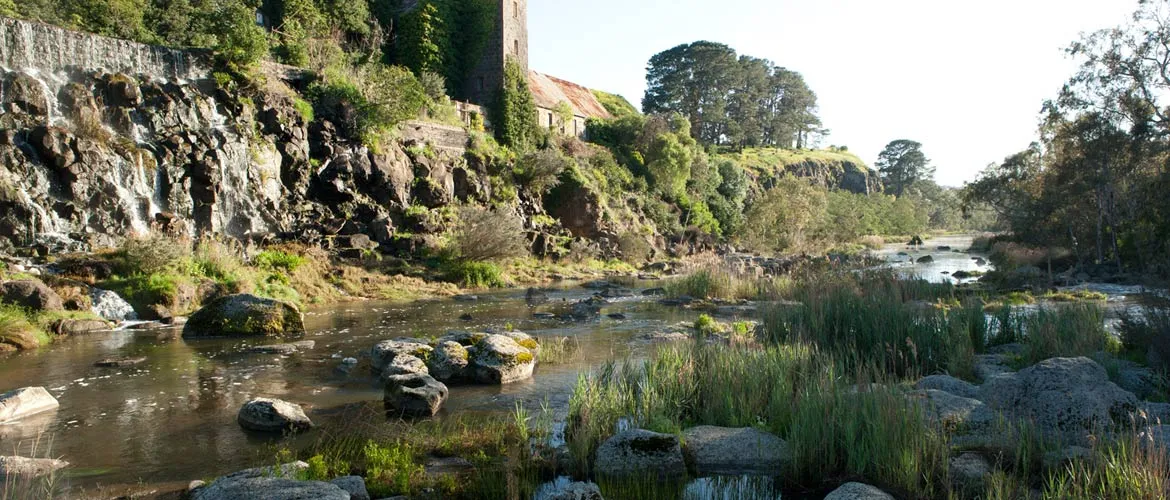 Buckley Falls Reserve