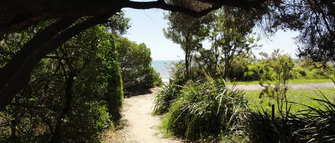 Anderson Reserve