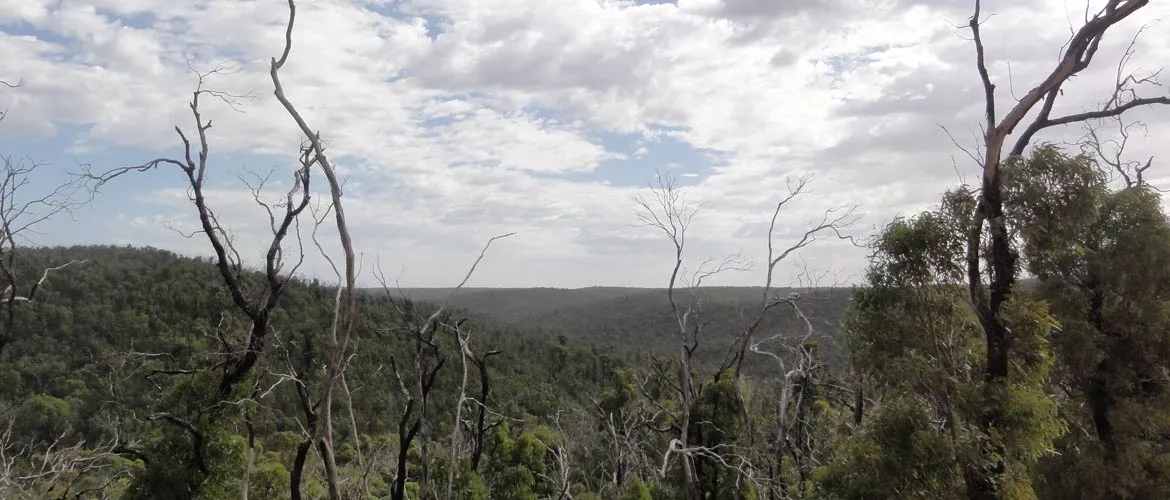 Brisbane Ranges National Park