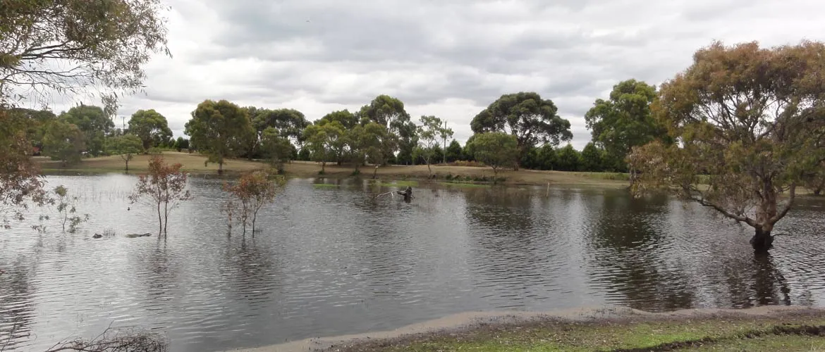 Drakes Reserve
