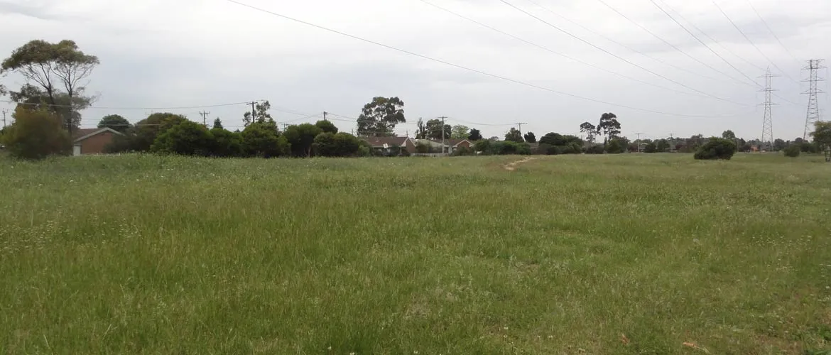 Horne Reserve