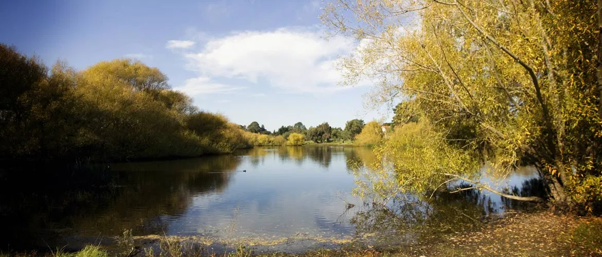 McLeods Waterhole Reserve