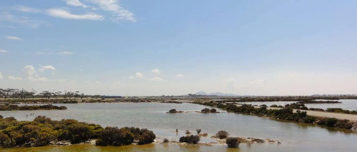 Avalon Wetland